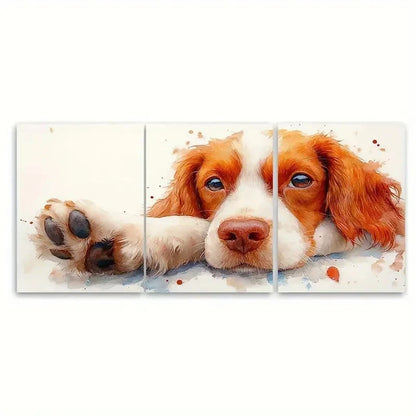 3pcs Adorable Spaniel Charming Dog FI Wall Art Set Canvas Framed 50x70cm - High Quality Print 100% Australian Made Wall Canvas Ready to Hang