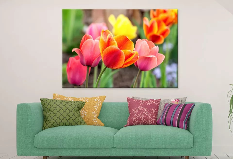 Tulip Flowers In Spring  Wall Art Decor 100% Australian Made
