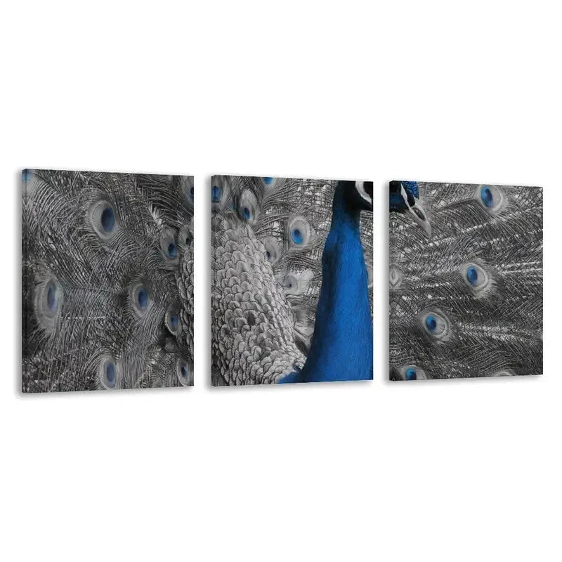 3pcs Blue peacock with its feathers spread out  Wall Art Set Canvas Framed 60x90cm - High Quality Print 100% Australian Made Wall Canvas Ready to Hang