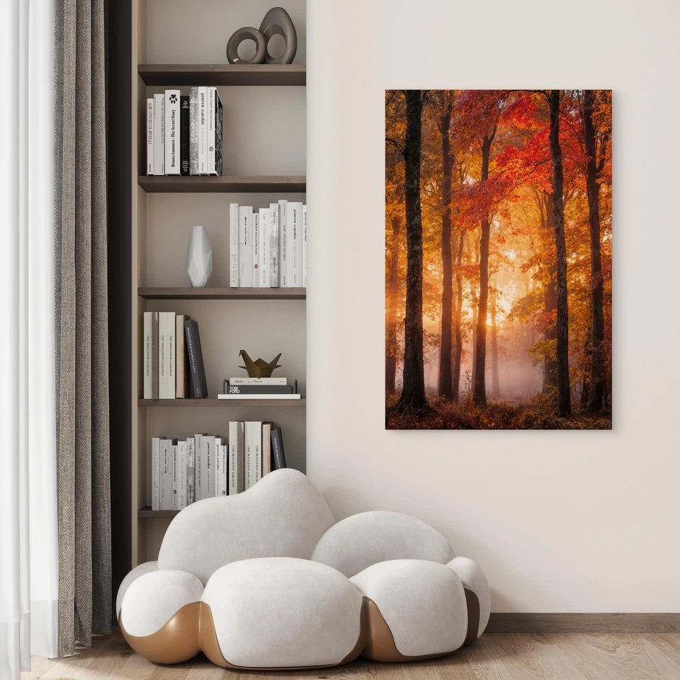 Autumnal Forest Scene 60x90cm Metal Print Ready to Hang