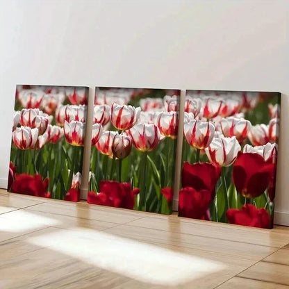 3pcs Flower Art Roses Modern Wall Art Set Canvas Framed 40x60cm - High Quality Print 100% Australian Made Wall Canvas Ready to Hang