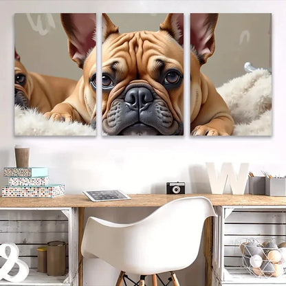 3pcs Adorable French Bulldog Portraits Wall Art Set Canvas Framed 60x90cm - High Quality Print 100% Australian Made Wall Canvas Ready to Hang