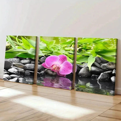3pcs Pebbles Phalaenopsis Flowers Wall Art Set Canvas Framed 40x60cm - High Quality Print 100% Australian Made Wall Canvas Ready to Hang