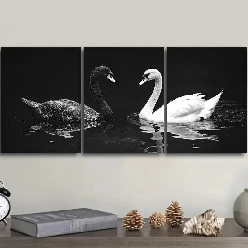 3pcs Two Swans In A Dark Reflection Wall Art Set Canvas Framed 50x70cm - High Quality Print 100% Australian Made Wall Canvas Ready to Hang