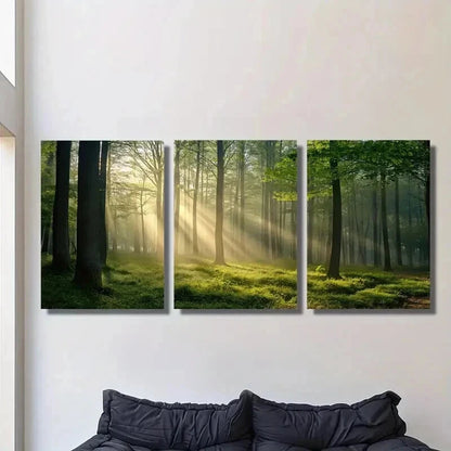 3pcs Sunlight Shining Through Green Forest Wall Art Set Canvas Framed 40x60cm - High Quality Print 100% Australian Made Wall Canvas Ready to Hang