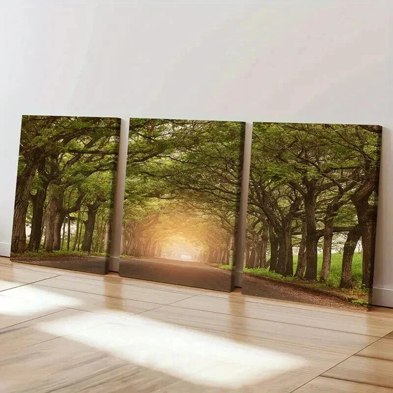 3pcs Sunshine Through Trees Roads Modern Wall Art Set Canvas Framed 40x60cm - High Quality Print 100% Australian Made Wall Canvas Ready to Hang