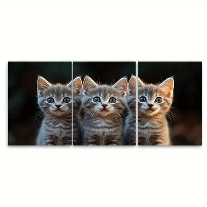 3pcs Fluffy Grey Cats with Blue Eyes C Wall Art Set Canvas Framed 60x90cm - High Quality Print 100% Australian Made Wall Canvas Ready to Hang
