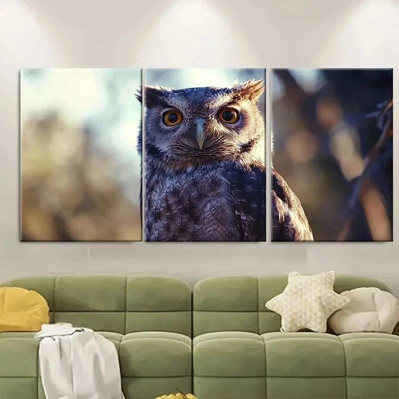 3pcs Owl of the National Park Travel Australia Wall Art Set Canvas Framed 50x70cm - High Quality Print 100% Australian Made Wall Canvas Ready to Hang