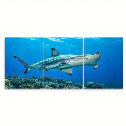 3pcs Great Hammerhead Shark EU Wall Art Set Canvas Framed 40x60cm - High Quality Print 100% Australian Made Wall Canvas Ready to Hang
