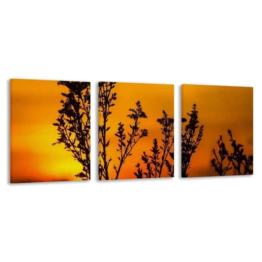 3pcs Golden Sunset Botanical Tree Branches Wall Art Set Canvas Framed 50x70cm - High Quality Print 100% Australian Made Wall Canvas Ready to Hang