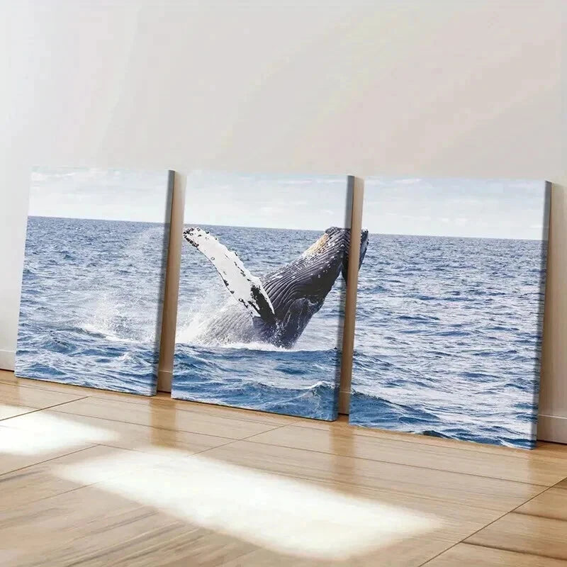 3pcs Sea Life Mammals Whale Portrait Wall Art Set Canvas Framed 40x60cm - High Quality Print 100% Australian Made Wall Canvas Ready to Hang