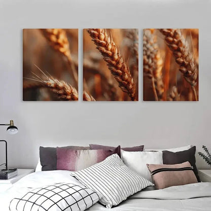 3pcs Golden Wheat Stalks in Brown & Tones    Wall Art Set Canvas Framed 60x90cm - High Quality Print 100% Australian Made Wall Canvas Ready to Hang