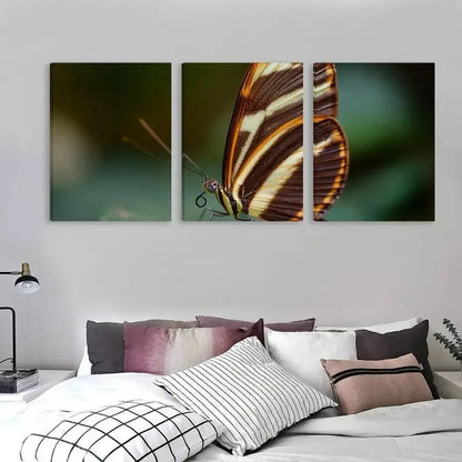 3pcs Elegant Butterfly Vibrant Colors    Wall Art Set Canvas Framed 60x90cm - High Quality Print 100% Australian Made Wall Canvas Ready to Hang