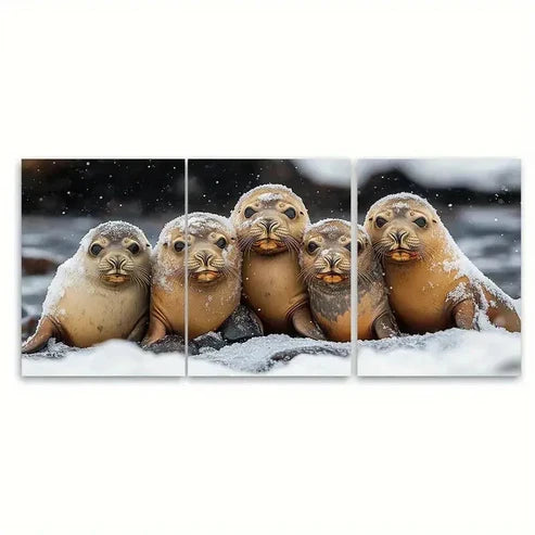 3pcs Sea Lion Huddle Canvas Wall Art Set Canvas Unframed - High Quality Print 100% Australian Made Wall Canvas