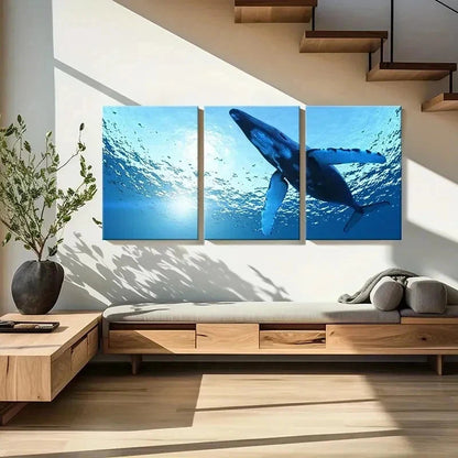 3pcs Sea Life Mammals Whales Modern Wall Art Set Canvas Framed 40x60cm - High Quality Print 100% Australian Made Wall Canvas Ready to Hang