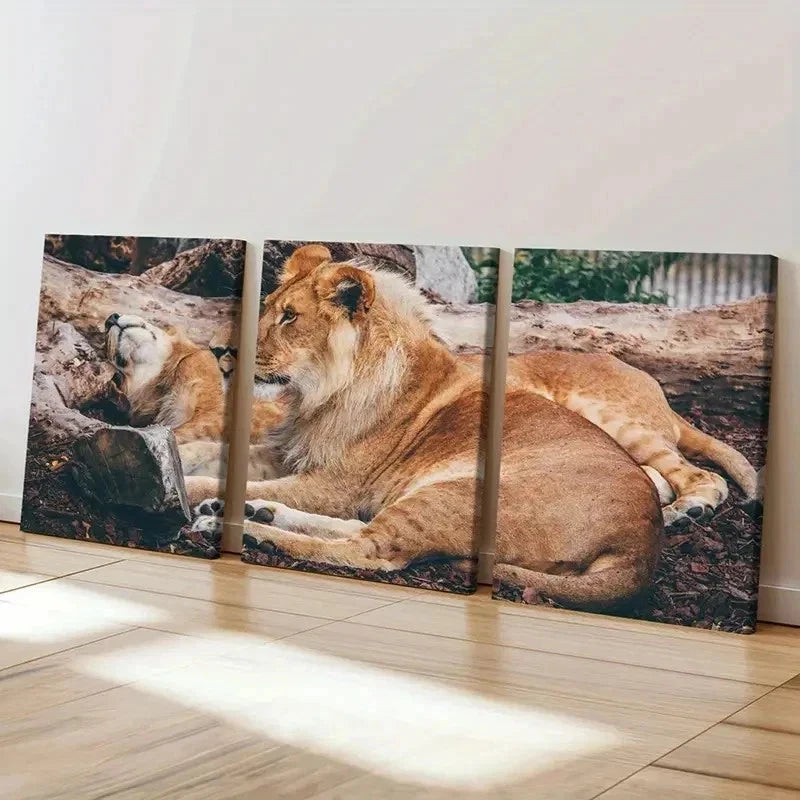 3pcs Lion Couple Animal Painting Wall Art Set Canvas Framed 40x60cm - High Quality Print 100% Australian Made Wall Canvas Ready to Hang