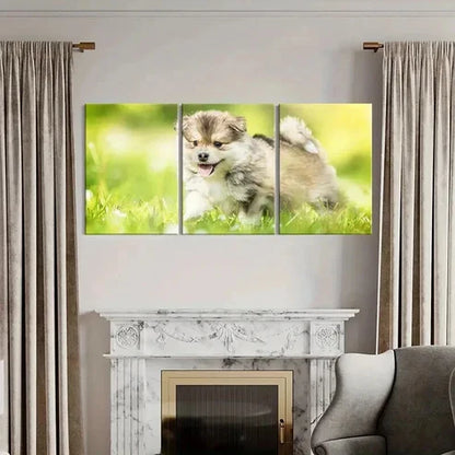 3pcs Brown Puppy on Green Grass Painting Wall Art Canvas Unframed - High Quality Print 100% Australian Made Wall Canvas