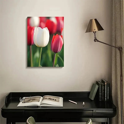 Red & White Tulips with Green Foliage,Painting 40x60cm Metal Print Ready to Hang