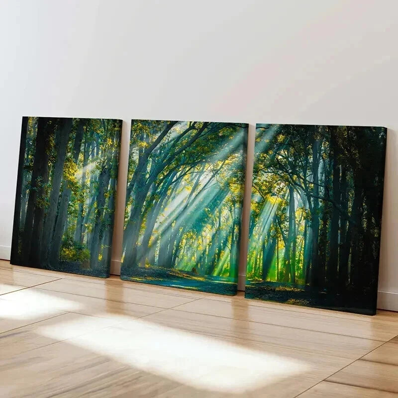 3pcs Forest Trees Sunshine Tyndall Effect Wall Art Set Canvas Framed 50x70cm - High Quality Print 100% Australian Made Wall Canvas Ready to Hang