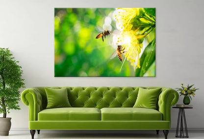 Bee Collecting Pollen In Flower Wall Art Decor 100% Australian Made