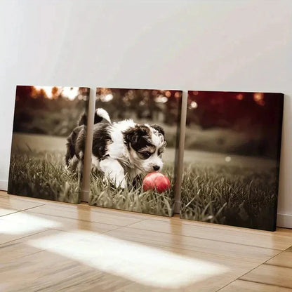 3pcs Puppy Playing Ball On Lawn Decor Wall Art Set Canvas Framed 40x60cm - High Quality Print 100% Australian Made Wall Canvas Ready to Hang
