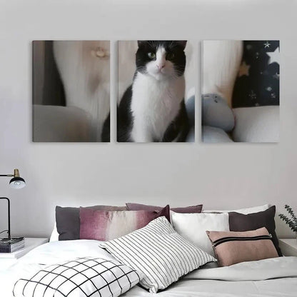 3pcs Modern Black and White Cat Painting   Wall Art Set Canvas Framed 60x90cm - High Quality Print 100% Australian Made Wall Canvas Ready to Hang