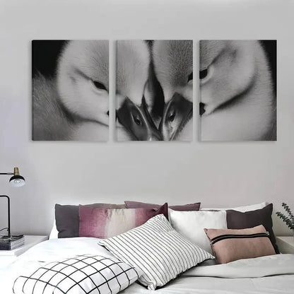 3pcs Black and White Swan Cygnets Cuddling Wall Art Set Canvas Framed 40x60cm - High Quality Print 100% Australian Made Wall Canvas Ready to Hang