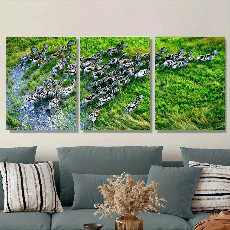 3pcs Zebra Herd Green Grasses Animals Metal Print Ready to Hang Art