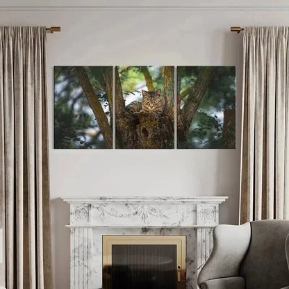 3pcs Charming Grey Kitten on Tree Wall Art Set Canvas Framed 40x60cm - High Quality Print 100% Australian Made Wall Canvas Ready to Hang