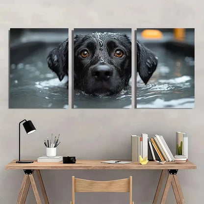 3pcs Black Labrador in Water Brown Eyes Metal Print Ready to Hang Art