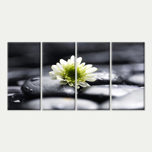 4pcs White Chrysanthemum Daisy Flower Spa Stones Wall Art Canvas Framed 45x80cm - High Quality Print 100% Australian Made Wall Canvas Ready to Hang