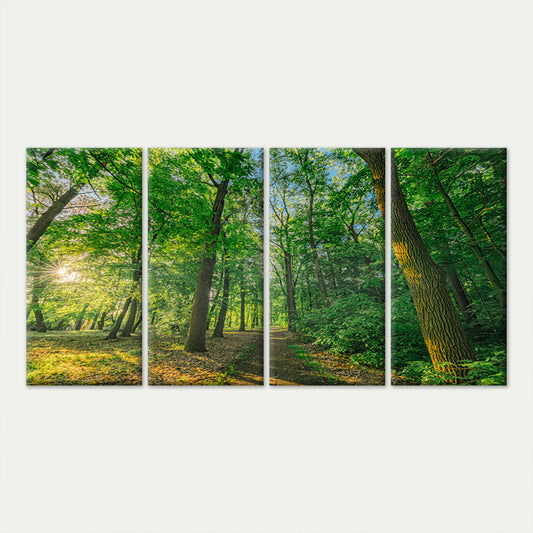 4pcs Green Forest Path Sunlit Tree Foliage Wall Art Canvas Framed 45x80cm - High Quality Print 100% Australian Made Wall Canvas Ready to Hang