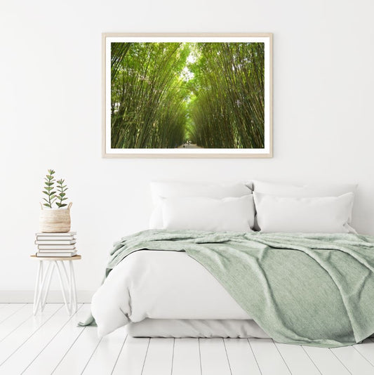 Bamboo Trees Road Photograph Home Decor Premium Quality Poster Print Choose Your Sizes