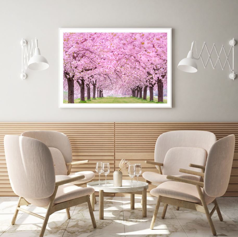 Blossom Tree Park Photograph Home Decor Premium Quality Poster Print Choose Your Sizes