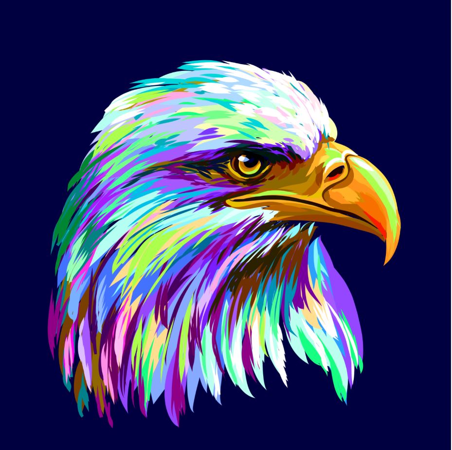 Square Canvas Colourful Eagle Face Abstract Design High Quality Print 100% Australian Made