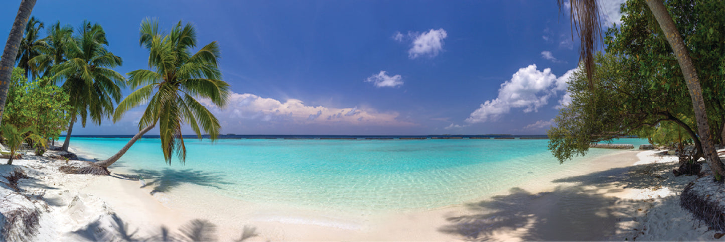 Panoramic Canvas Beach & Trees High Quality 100% Australian made wall Canvas Print ready to hang