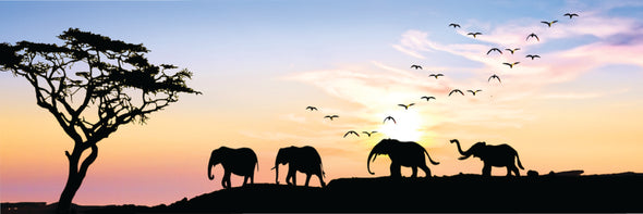 Panoramic Canvas Elephants Walking in Sunset High Quality 100% Australian made wall Canvas Print ready to hang