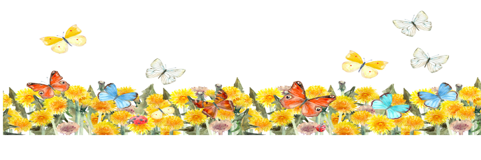 Panoramic Canvas Floral Art with Butterflies High Quality 100% Australian made wall Canvas Print ready to hang