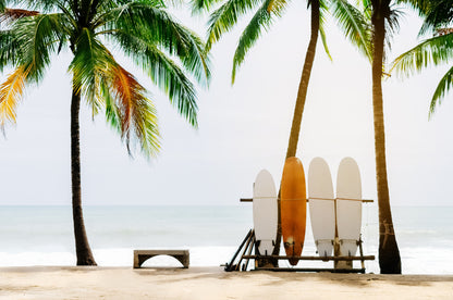 Wallpaper Murals Peel and Stick Removable Surf Boards Near Beach & Palm Trees High Quality