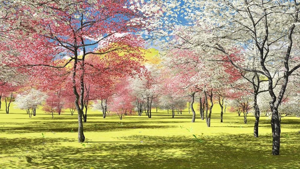 Wallpaper Murals Peel and Stick Removable Colourful Trees High Quality