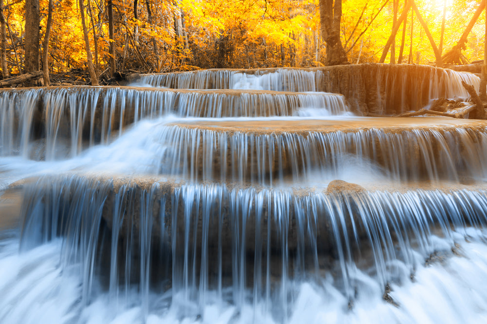 Stunning Water Stream in Forest Photograph Print 100% Australian Made