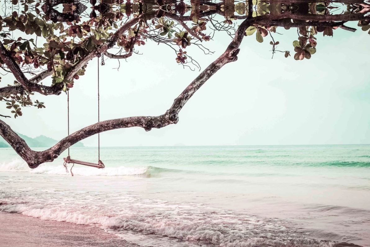 Wallpaper Murals Peel and Stick Removable Swing on a Tree Near Beach Photograph High Quality