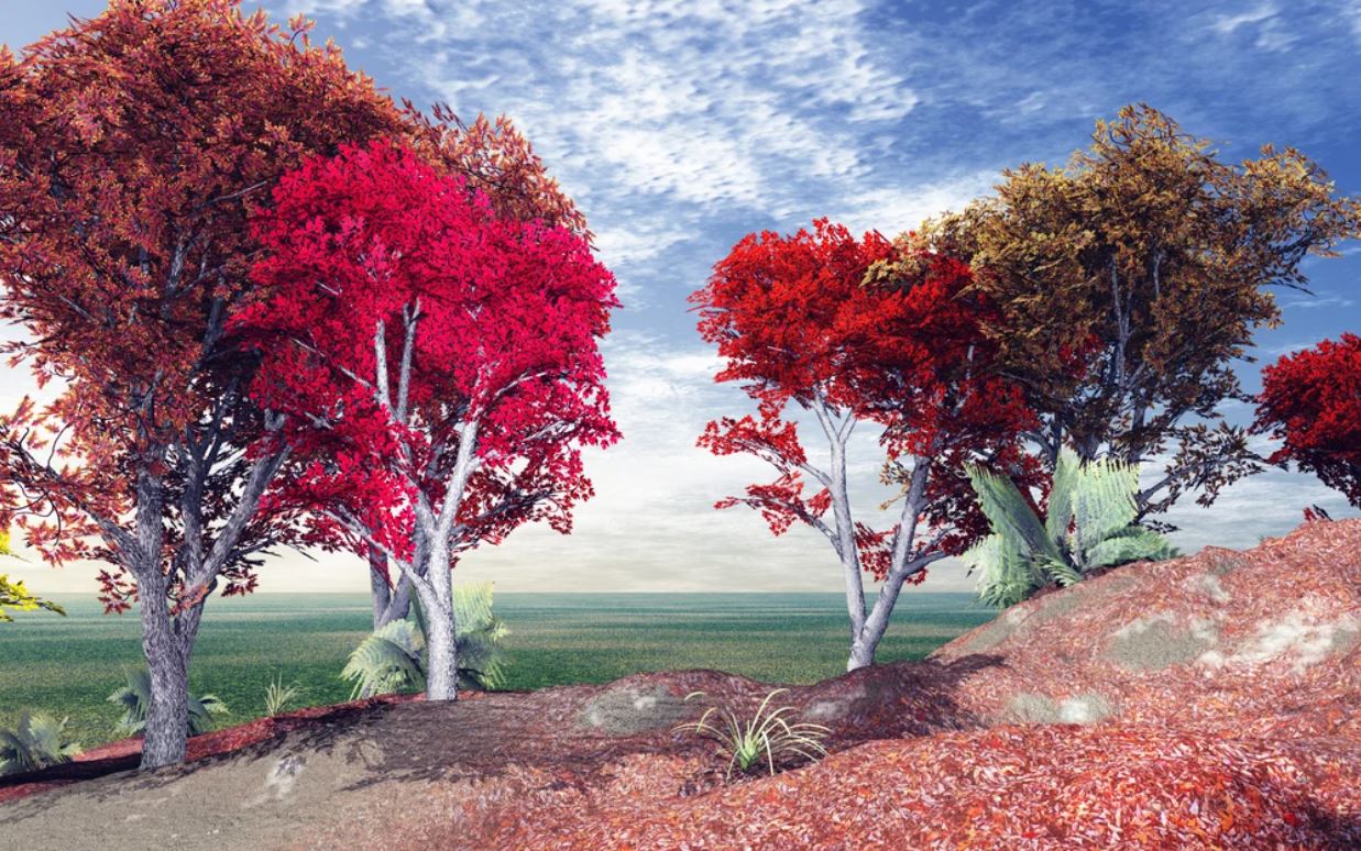 Wallpaper Murals Peel and Stick Removable Colorful Trees in Forest High Quality