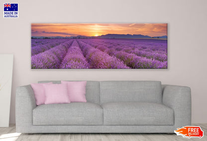 Panoramic Canvas Lavender Field Sunset View High Quality 100% Australian made wall Canvas Print ready to hang