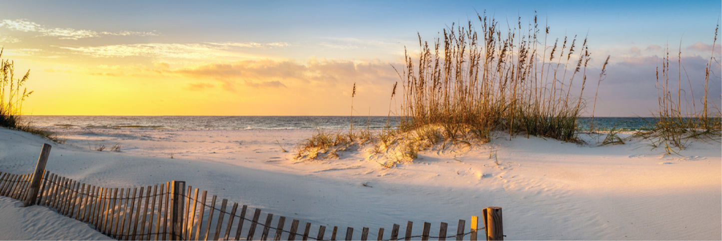 Panoramic Canvas Beach View from the Shore High Quality 100% Australian made wall Canvas Print ready to hang