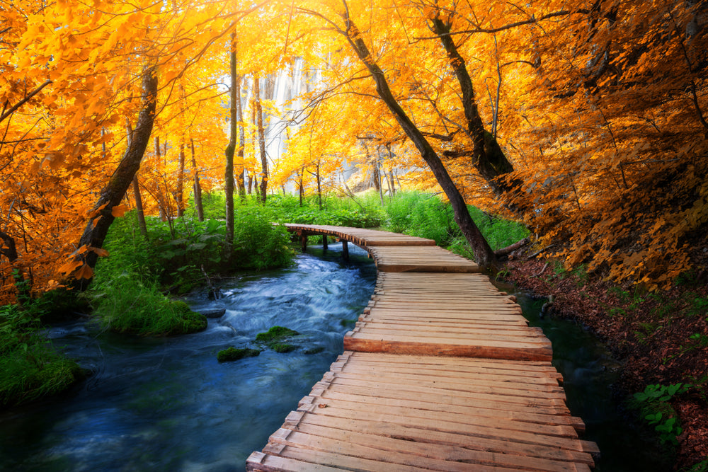 Wooden Bridge in Forest Scenery Home Decor Premium Quality Poster Print Choose Your Sizes