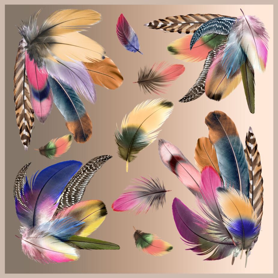 Square Canvas Feather Pattern Design High Quality Print 100% Australian Made