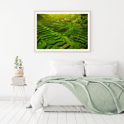 Paddy Fields in Vietnam Scenery Photograph Home Decor Premium Quality Poster Print Choose Your Sizes