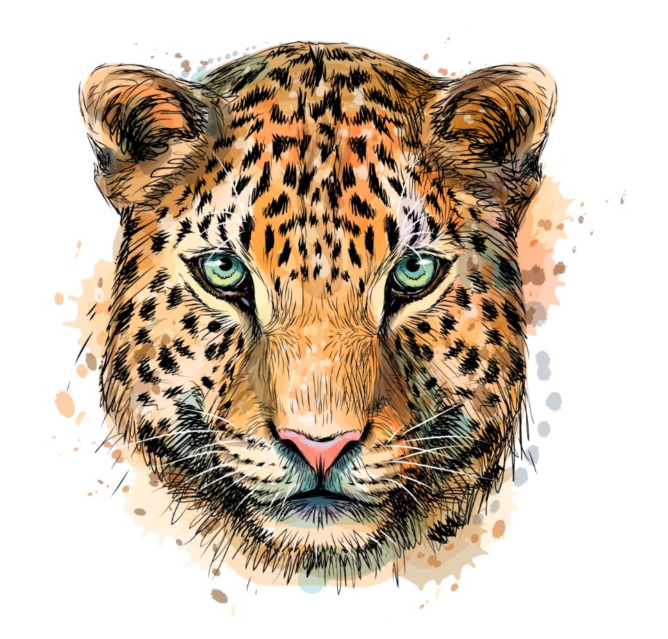 Square Canvas Leopard Face Painting High Quality Print 100 Australian Made