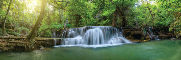 Panoramic Canvas Stunning Water Stream Forest High Quality 100% Australian made wall Canvas Print ready to hang